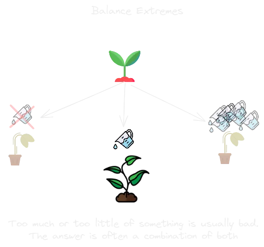 Balance Extremes.webp