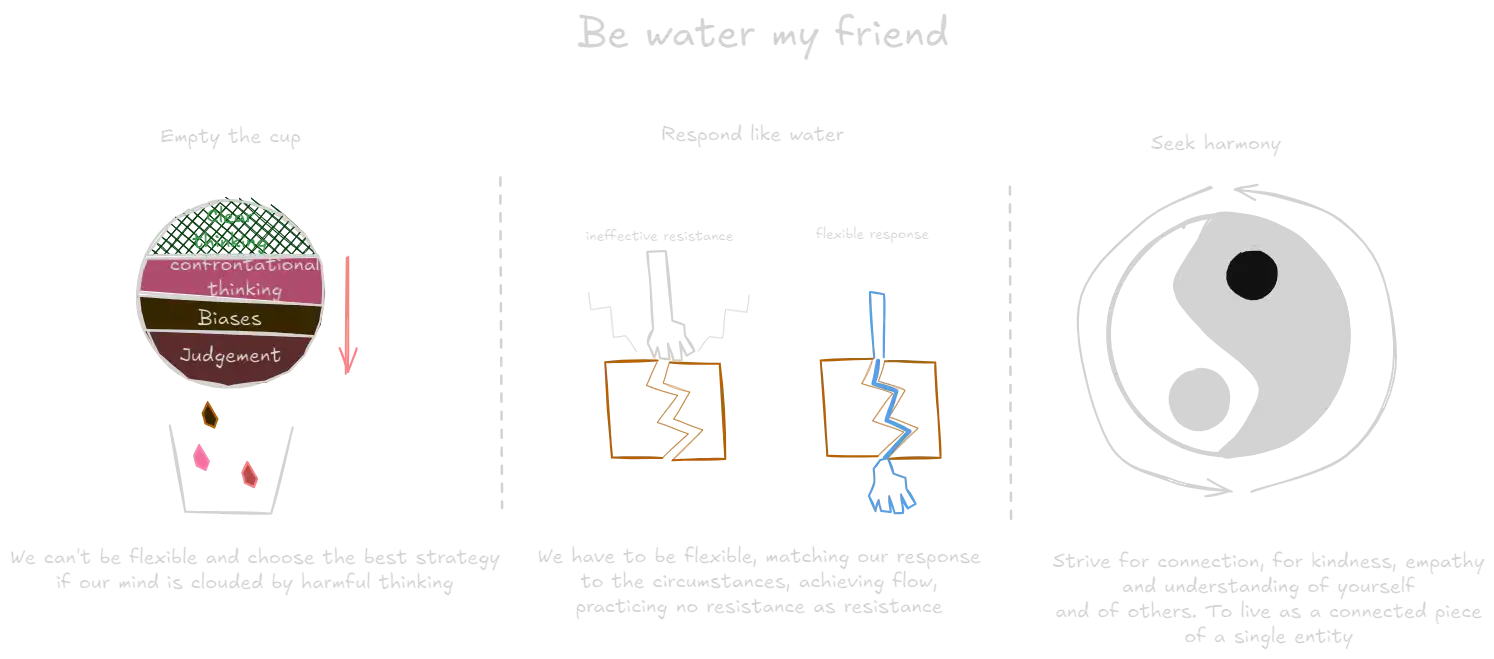 Be Water My Friend (book).webp