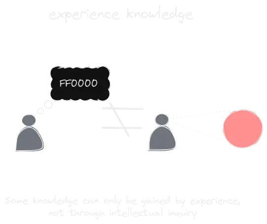 experience knowledge.webp