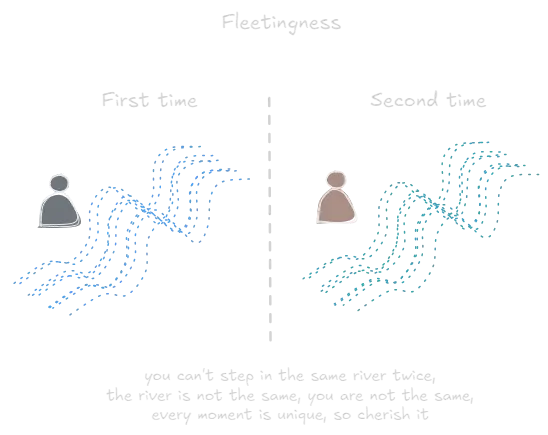 Fleetingness.webp