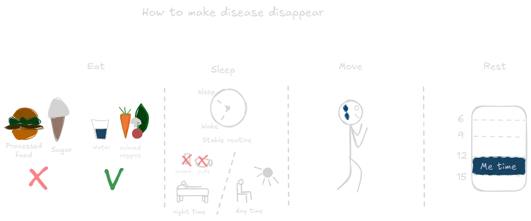 How to Make Disease Disappear (book).webp