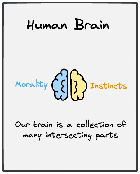 Human Brain
