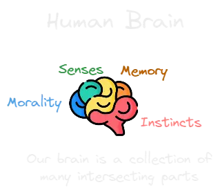 Human Brain.webp