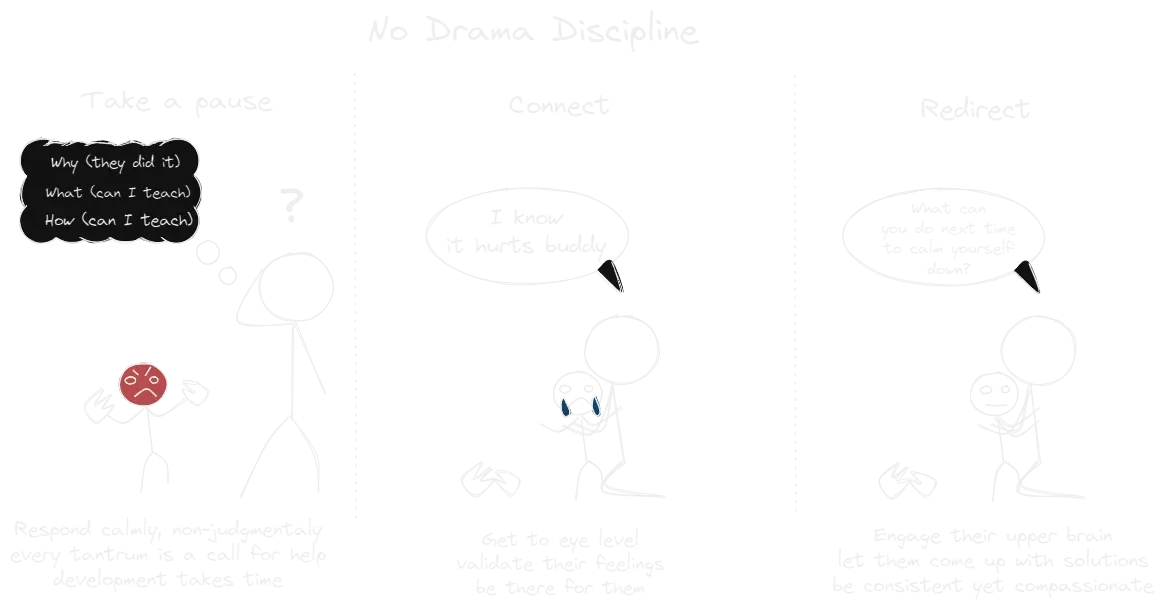 No-Drama Discipline (book).webp