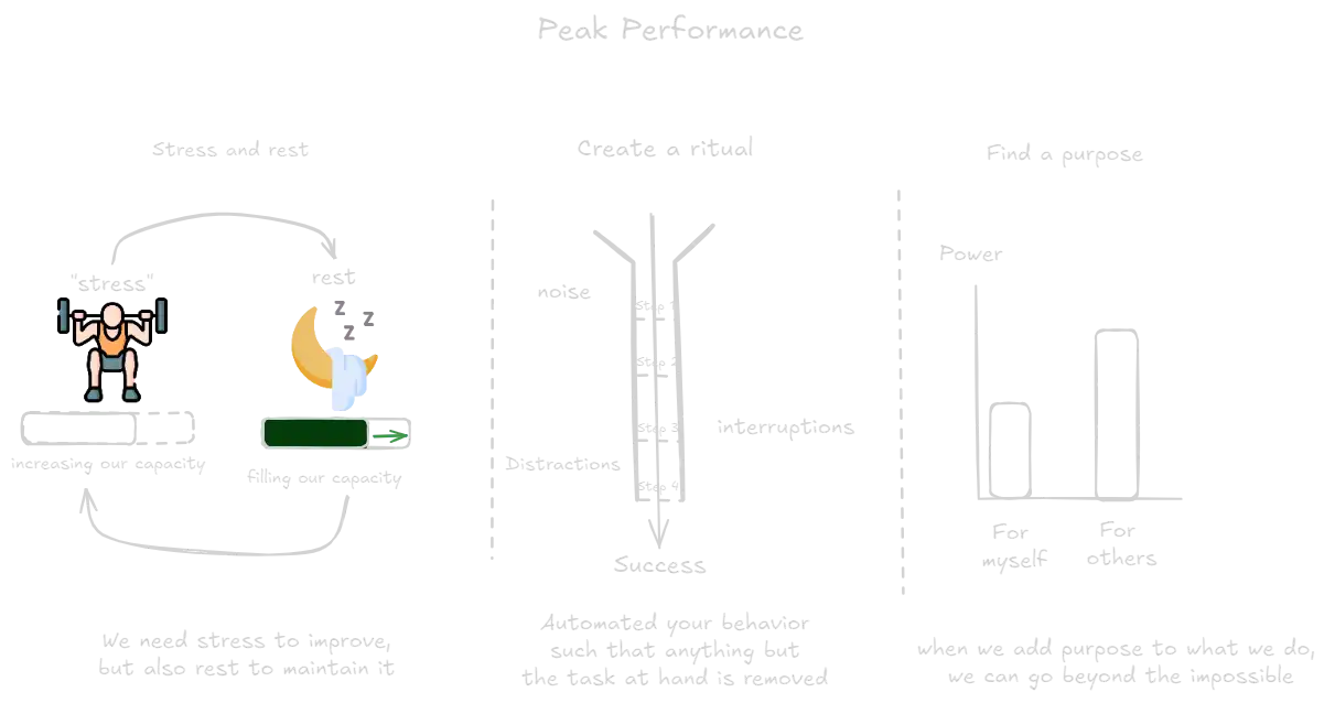 Peak Performance (book).webp