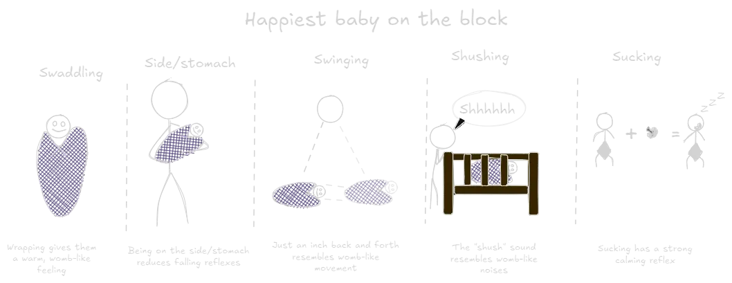 The Happiest Baby on the Block (book).webp