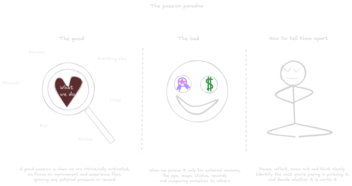 The Passion Paradox (book).webp